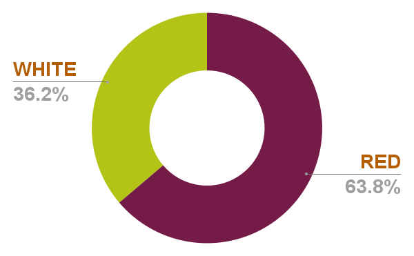 Chart 18